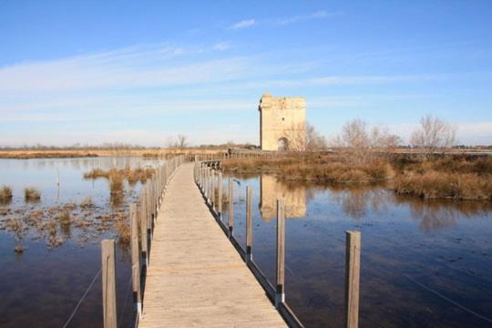 Vacances En Camargue Proche De La Mer Climatise Aigues-Mortes Dış mekan fotoğraf