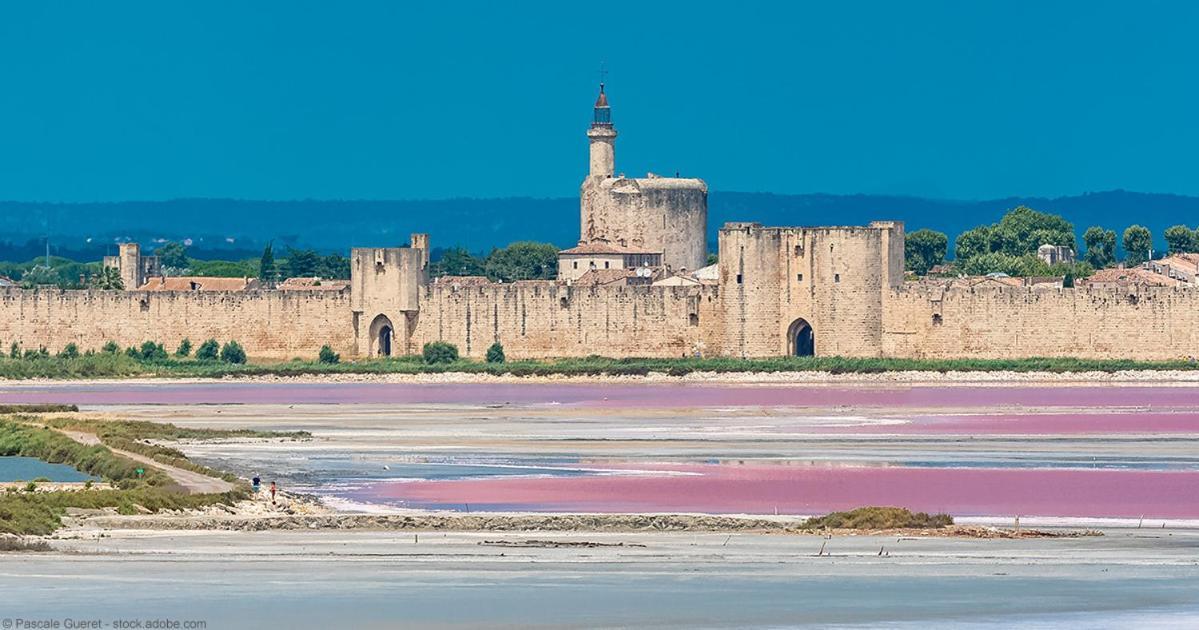 Vacances En Camargue Proche De La Mer Climatise Aigues-Mortes Dış mekan fotoğraf