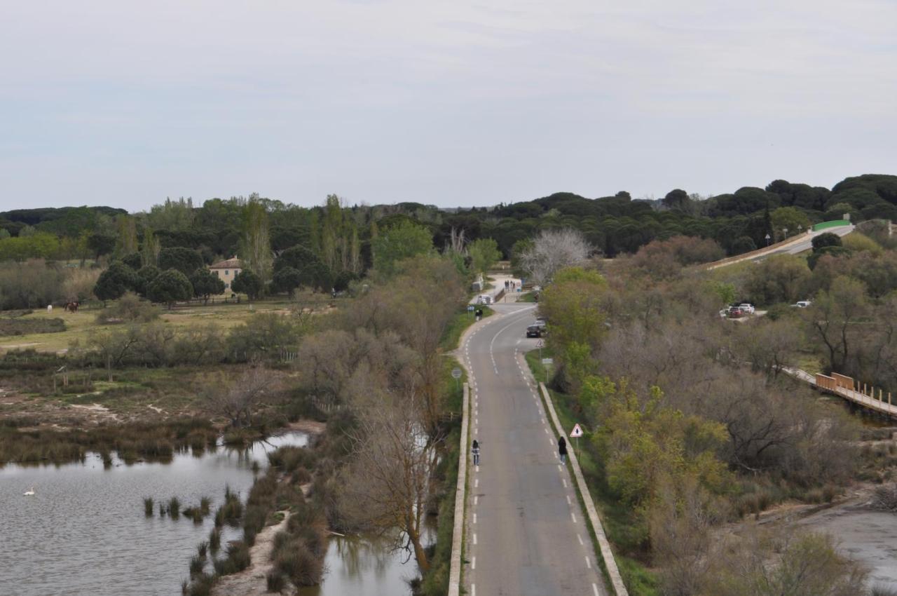 Vacances En Camargue Proche De La Mer Climatise Aigues-Mortes Dış mekan fotoğraf